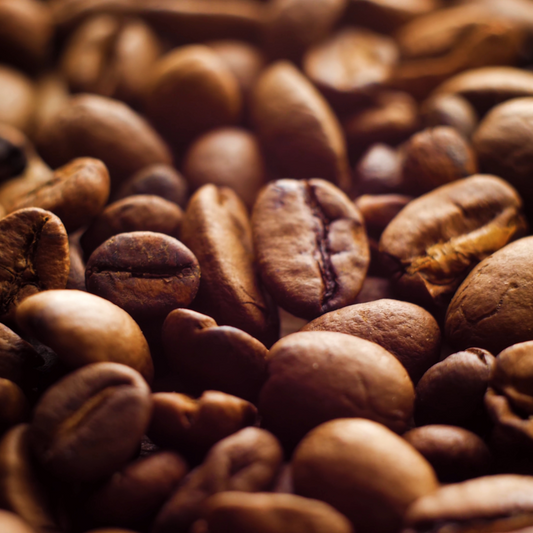 Arabica vs. Robusta: Unraveling the Unique Charms of Coffee’s Dynamic Duo